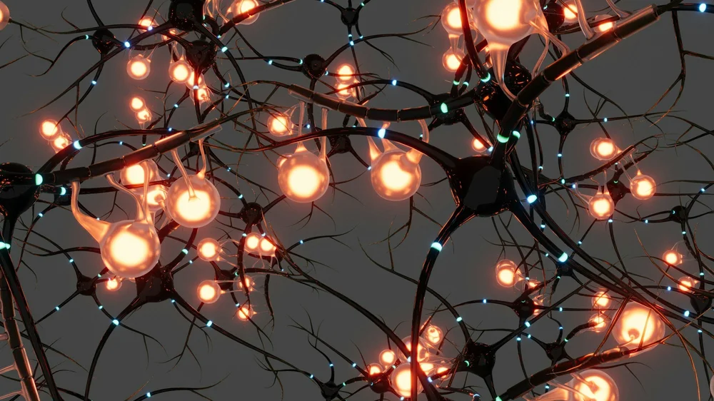 Illuminated model of a human brain